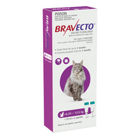 Bravecto Spot On - Purple - Large Cats 6.25-12.5kg