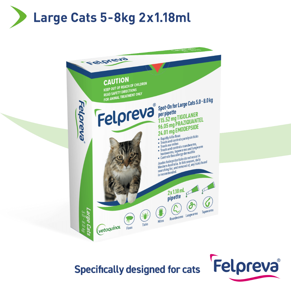 Buy Felpreva Spot On for Large Cats 5kg to 8kg Green box Oveds