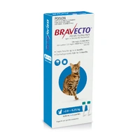 Bravecto Spot On - Blue - Medium Cats 2.8-6.25kg