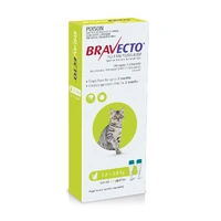 Bravecto Spot On - Green - Small Cats 1.2-2.8kg