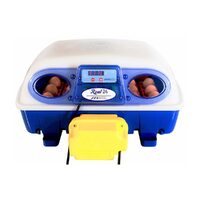 Borotto REAL 24 Automatic Egg Incubator