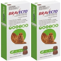 Bravecto Medium Dog Green 10kg - 20kg - 4 Chews (2 Boxes of 2 Chews)