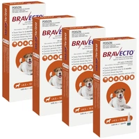 Bravecto Spot On Orange For Small Dogs 4.5-10kg 0.89ml X 4 Pipette (Note 4 Boxes X 1 Pipette )