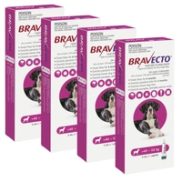 Bravecto Spot On For Dogs Pink Very Large Dog 40-50kg 5ml X 4 Pipette (Note 4 Boxes X 1 Pipette)