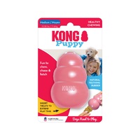 KONG Puppy Toy - Medium (Random Colour)