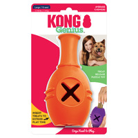 KONG Genius Leo Large