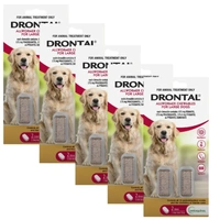 Drontal Allwormer Chewable For Large Dogs 35kg - 10 Chews (5 x 2packs)