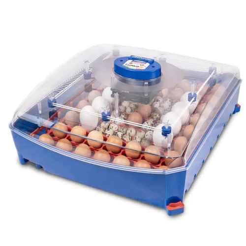 Borotto Lumia 56 Automatic Egg Incubator