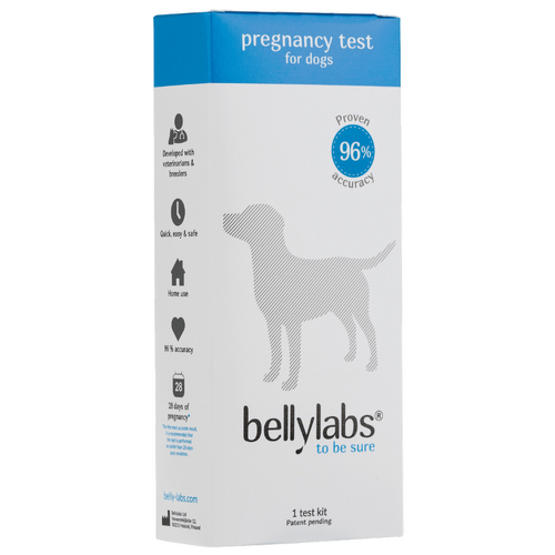 BellyLabs - Pregnancy Test for Dogs (Single Test)